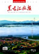 文化学刊