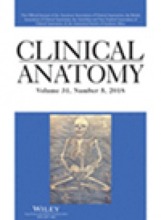 Clinical Anatomy