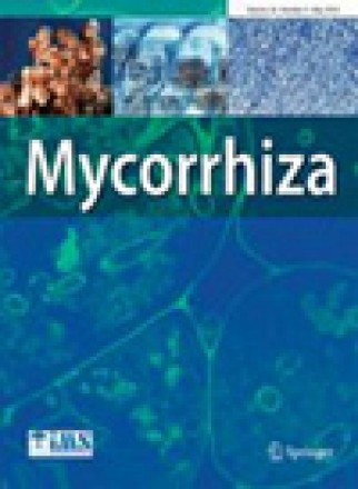 Mycorrhiza