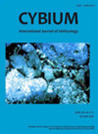 Cybium