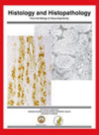 Histology And Histopathology