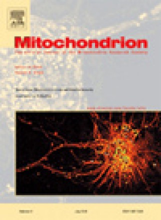 Mitochondrion