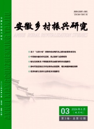 安徽乡村振兴研究